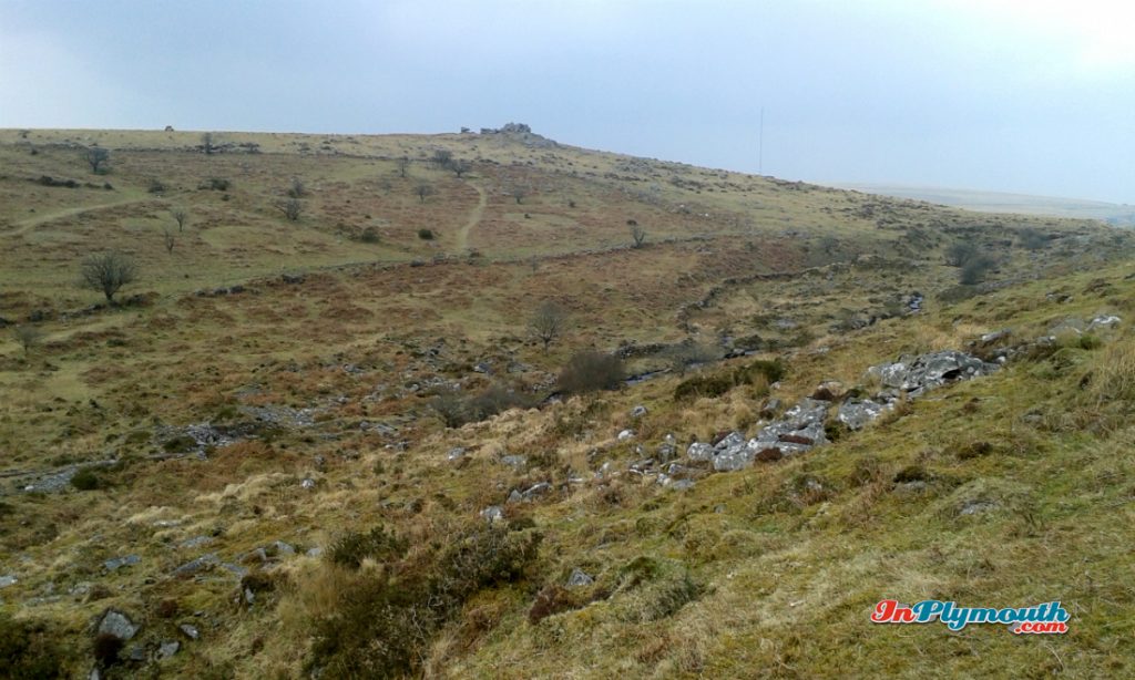 Dartmoor stream April 2015